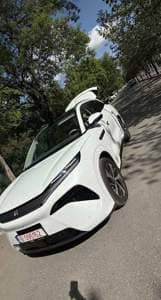 Byd Tang