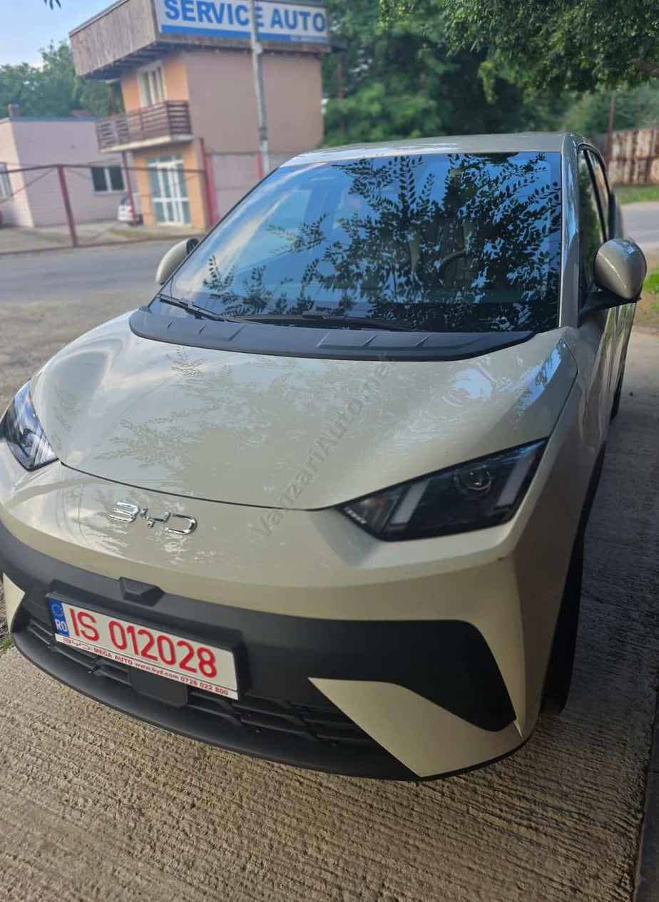Byd Dolphin